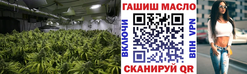 ТГК Wax  Купить где  Красный Кут 
